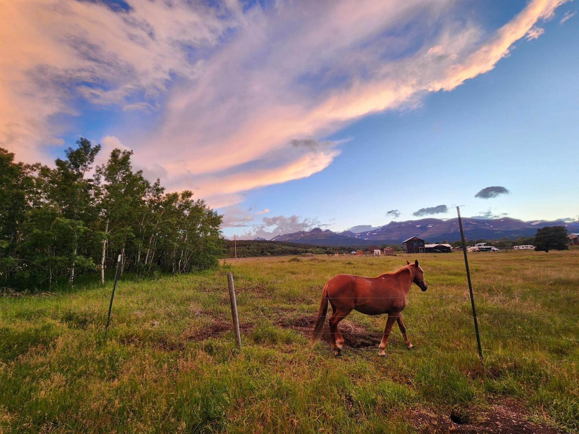 Circle R Motel East Glacier Park Village Екстериор снимка